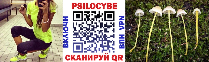 Псилоцибиновые грибы Cubensis  мега маркетплейс  Ирбит  хочу  
